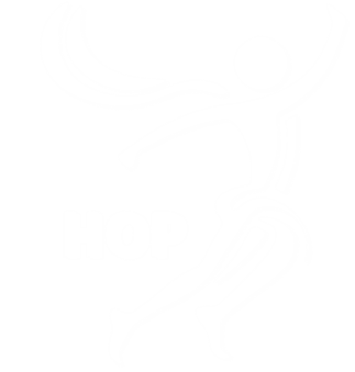 HOP - Holistyczna Opieka Poszkodowanych